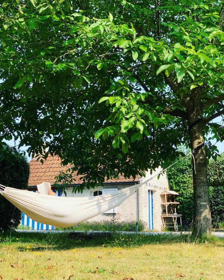 Hamiora Wellness B&B Deinze Ngoại thất bức ảnh
