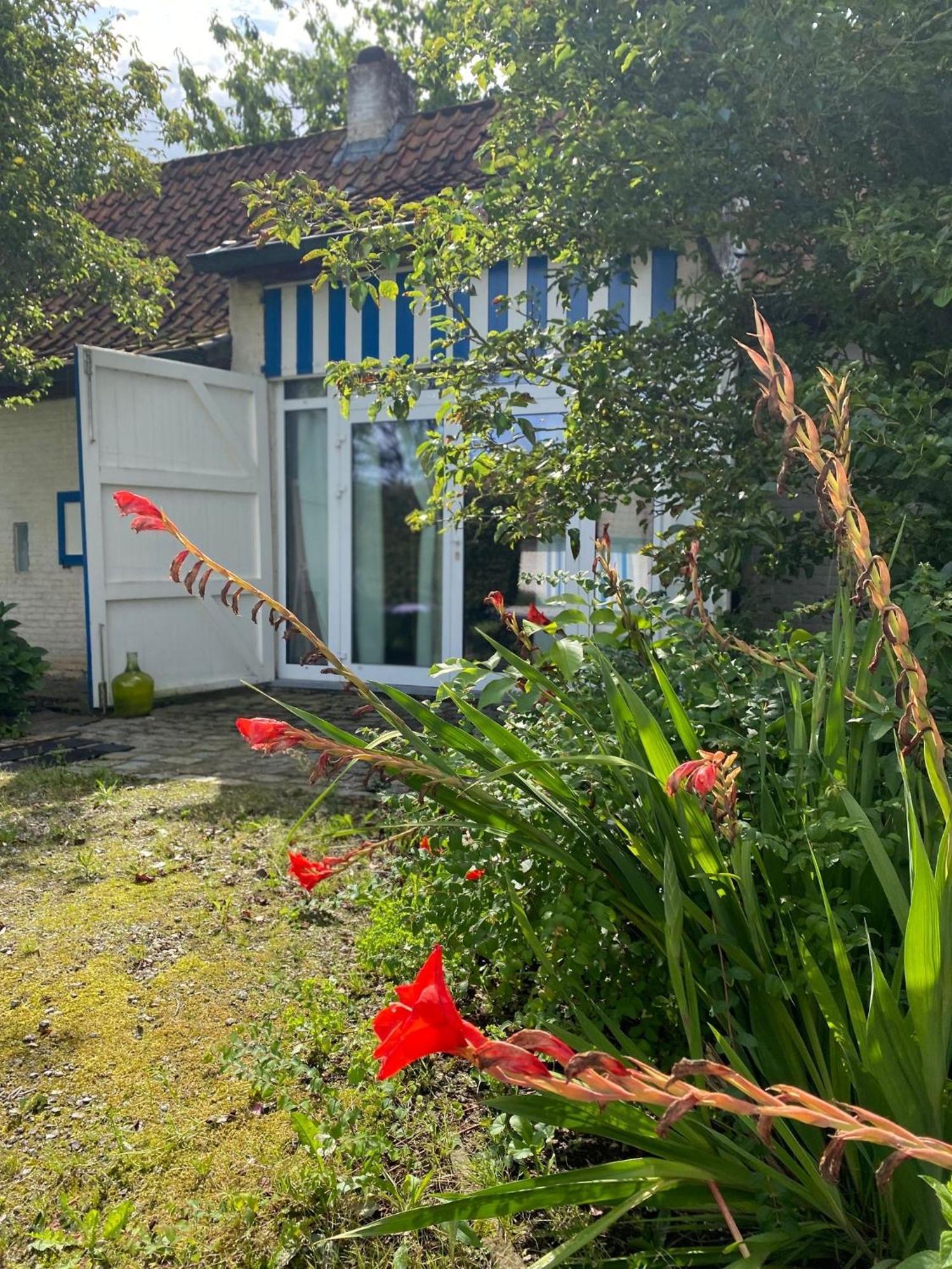 Hamiora Wellness B&B Deinze Ngoại thất bức ảnh